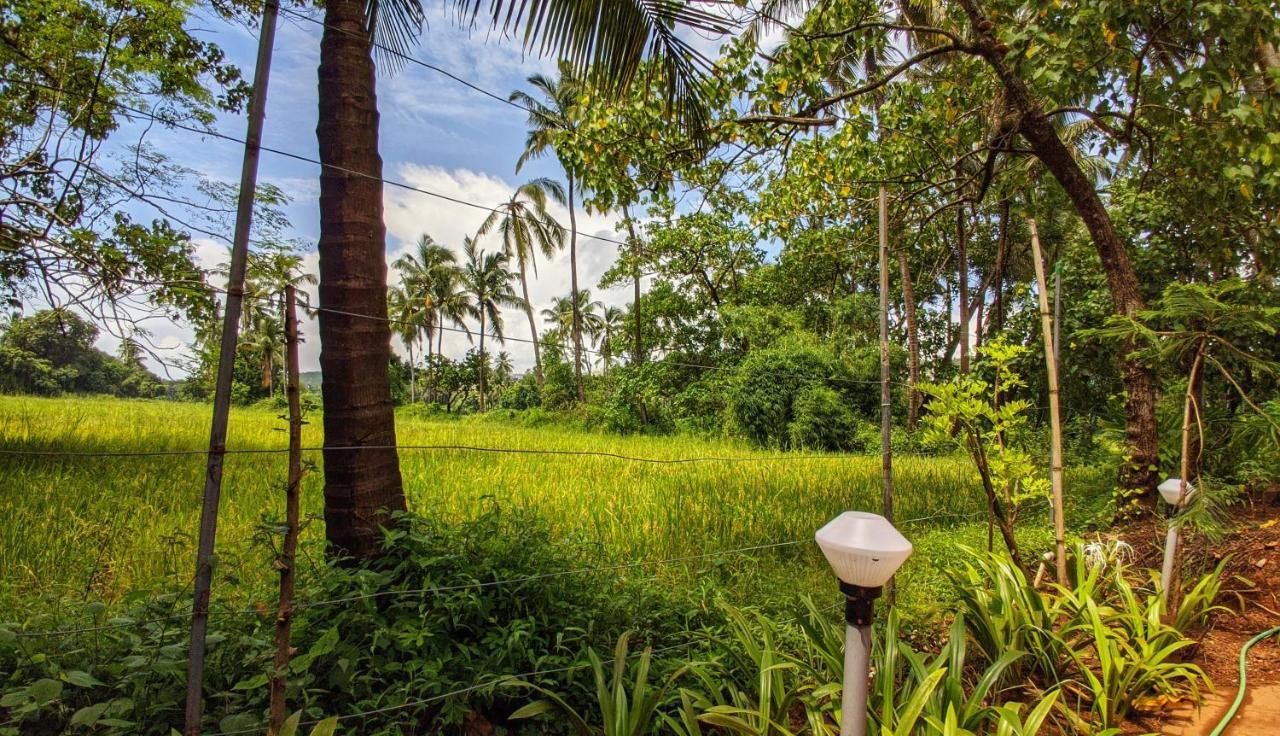 Shunyachi Lotusfeet Hotel Morjim Exterior photo